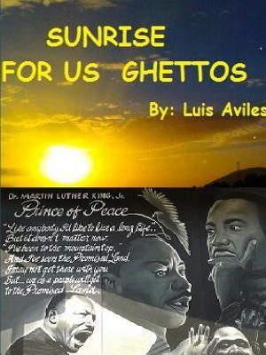 Read Sunrise for U.S. Ghettos Throughout Immigration Reform - Luis Aviles file in ePub