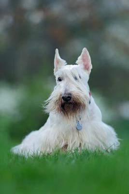 Read Scottish Terrier in the Grass Dog Journal: 150 Page Lined Notebook/Diary -  file in PDF