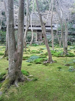 Read Tea Ceremony with Tea Bowl Only Japanese Pottery and Tea Ceremony - Hironobu Jitsukata | ePub