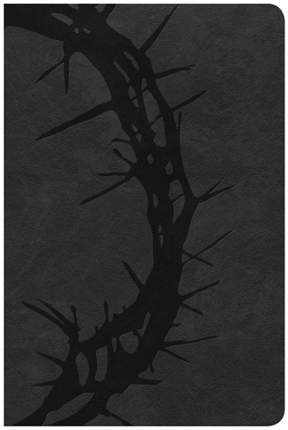 Full Download CSB Large Print Personal Size Reference Bible - Anonymous | ePub