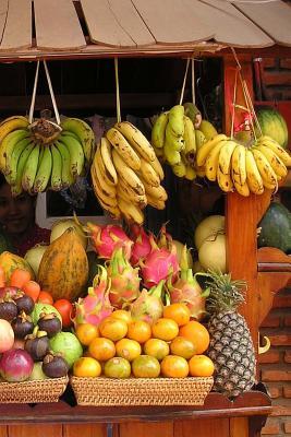 Read Online Tropical Fruit Farmer's Market Journal: 150 Page Lined Notebook/Diary -  file in ePub