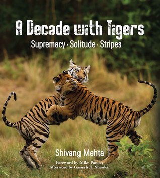 Download A Decade with Tigers: Supremacy · Solitude · Stripes - Shivang Mehta file in ePub