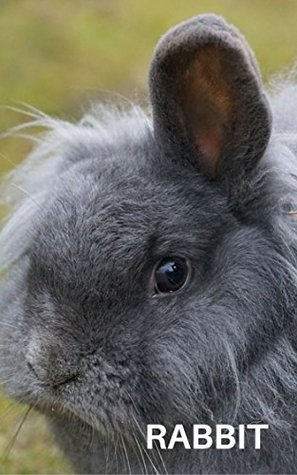 Full Download RABBIT: PHOTO BOOK RABBIT , PHOTO BOOK RABBITS - Patricia Kent file in PDF