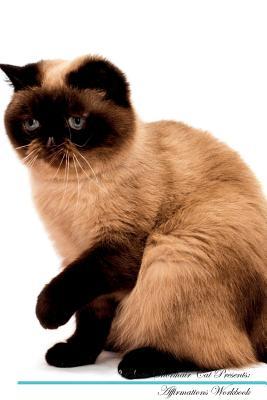 Read Online Exotic Shorthair Cat Affirmations Workbook Exotic Shorthair Cat Presents: Positive and Loving Affirmations Workbook. Includes: Mentoring Questions, Guidance, Supporting You. - Live Positivity file in PDF