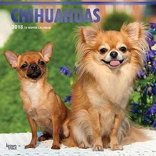 Full Download NOT A BOOK: Chihuahuas 2018 12 x 12 Inch Monthly Square Wall Calendar with Foil Stamped Cover, Animals Small Dog Breeds Puppies (Multilingual Edition) -  file in ePub