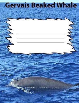 Download Gerva's Beaked Whale Wide Ruled Line Paper Composition Book: Whale Fan, Elementary Students, Teen Journals, Adult Notebooks, Visual Impaired - Christina Peterson | PDF