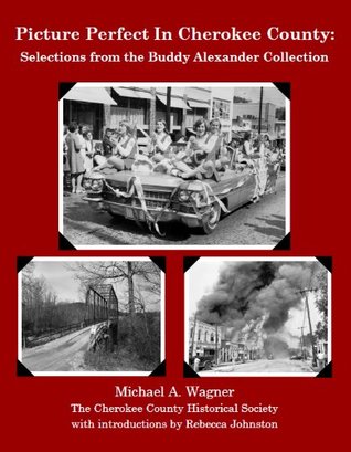 Read Online Picture Perfect in Cherokee County: Selections From the Buddy Alexander Collection - Michael A. Wagner file in PDF