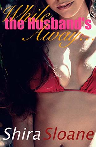 Download While The Husband's Away (Affairs & Cheaters Book 3) - Shira Sloane file in PDF
