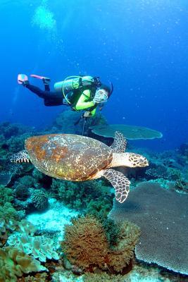 Full Download Scuba Diving with a Sea Turtle Adventure Journal: 150 Page Lined Notebook/Diary -  | PDF